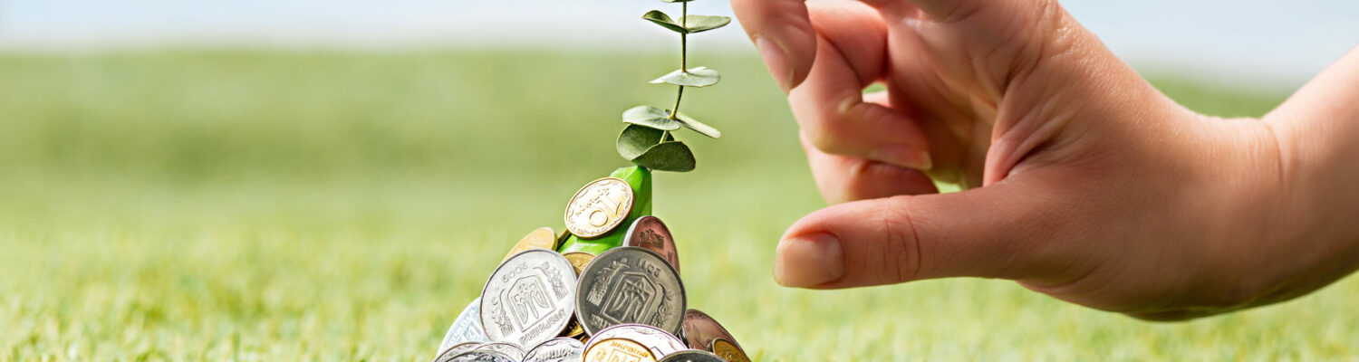Coins on grass Plant growing in coins on green grass with female hand. Saving and investment financial concept